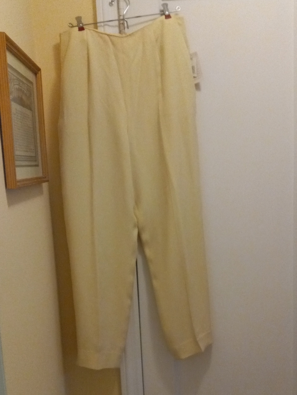 Jones New York Silk Dress Trousers NWT